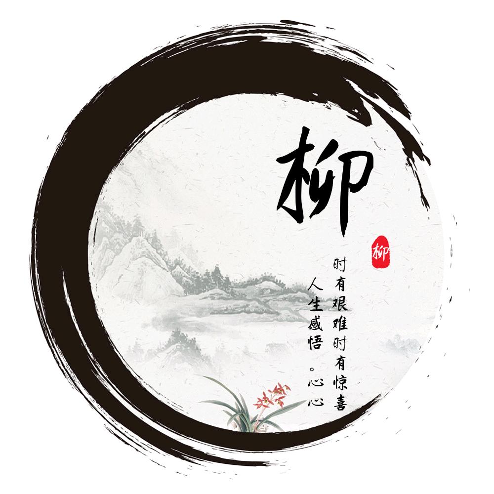抖西柳影视