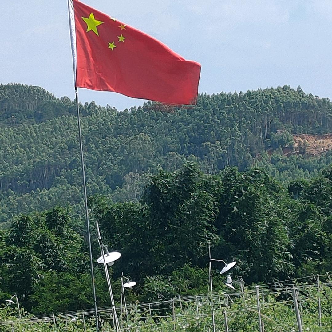 撇捺人生。