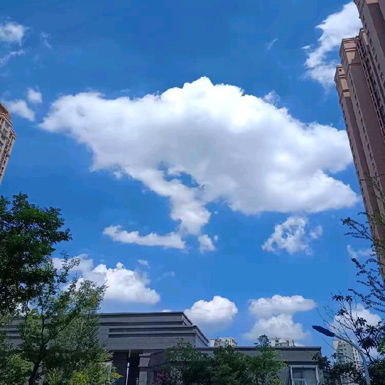 嗣欣酱香饼在陶然水岸小区东门口