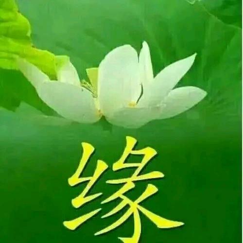 ❤有你真好