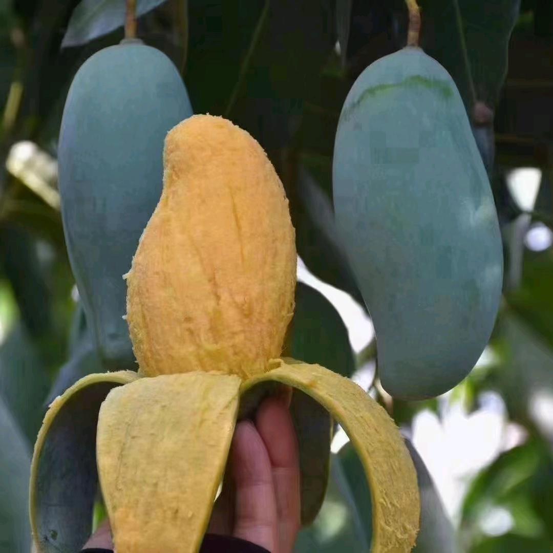 万马奔腾