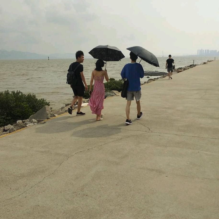 小马过河遇到花花