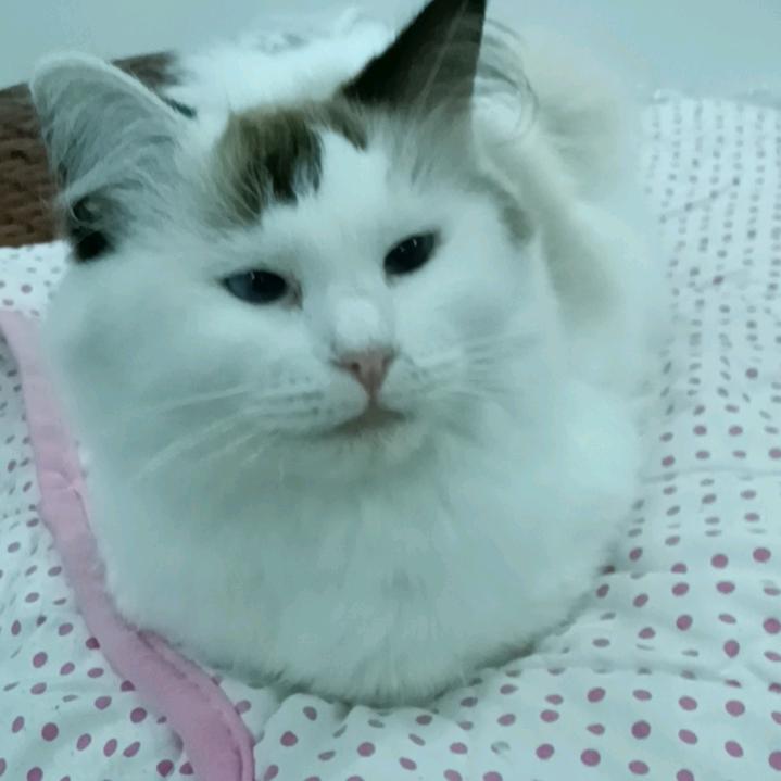 奋斗人生