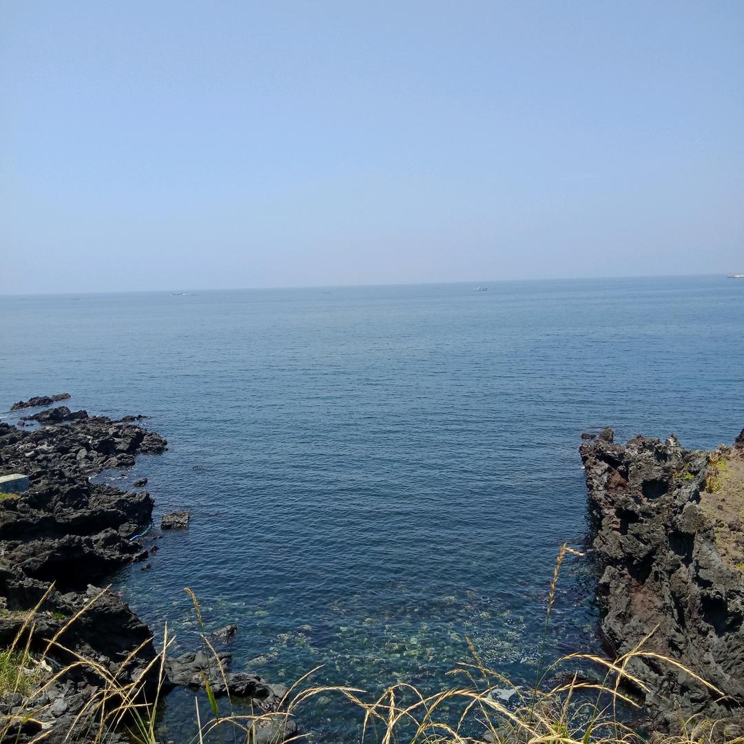 小燕子