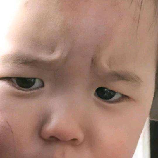 风味小金