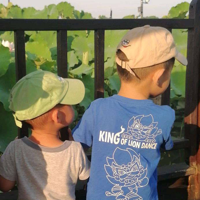 爱吃肉的小兔子