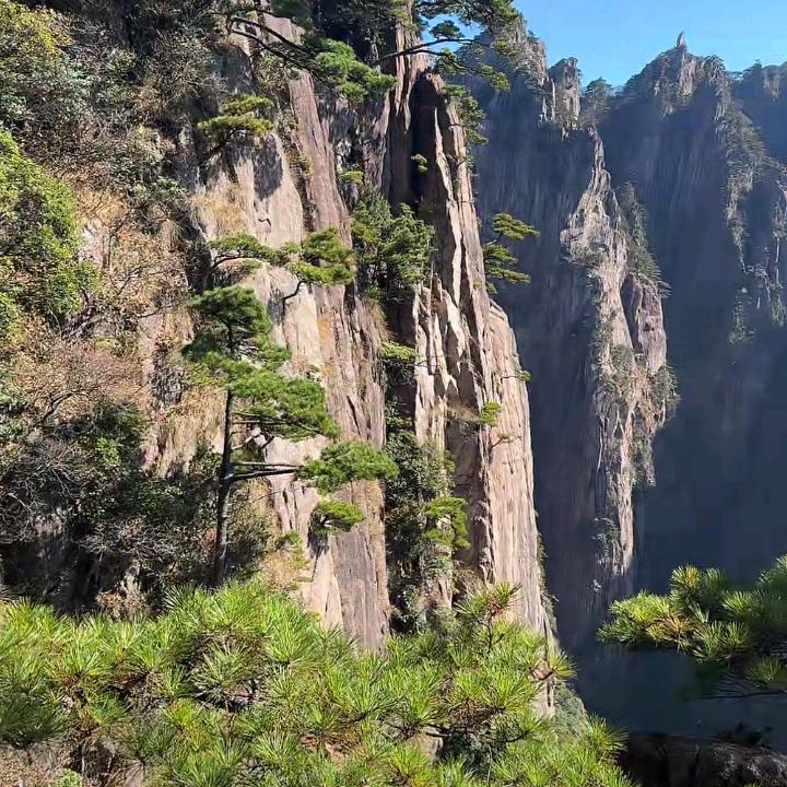 你叫什么名字