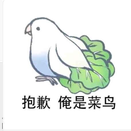 菜鸟（星球重启）