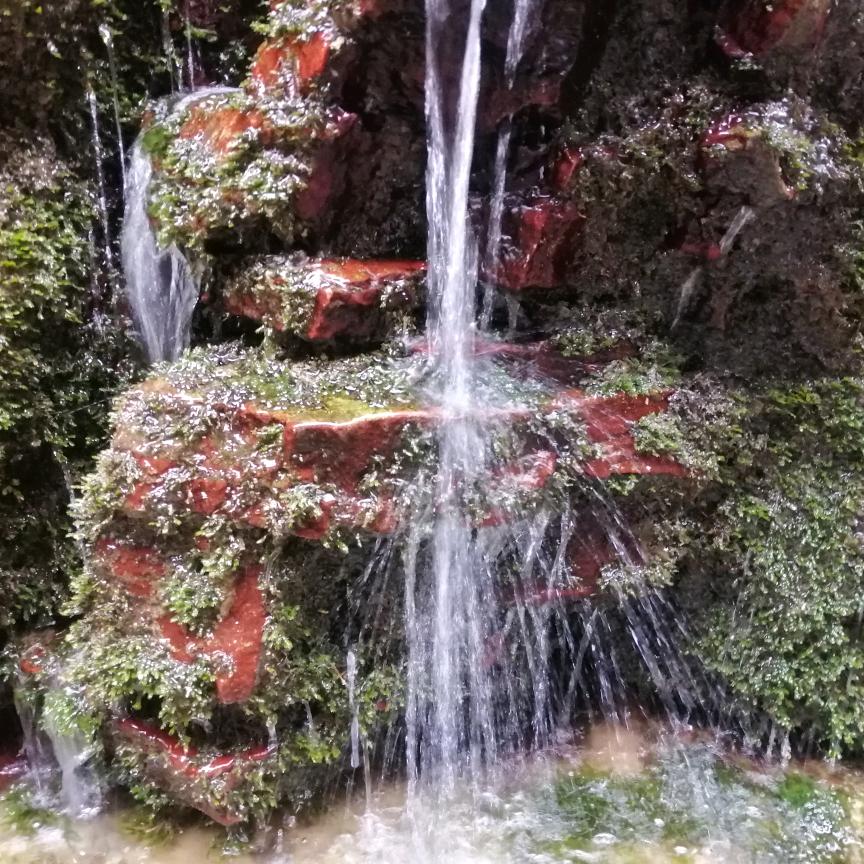飘泊者