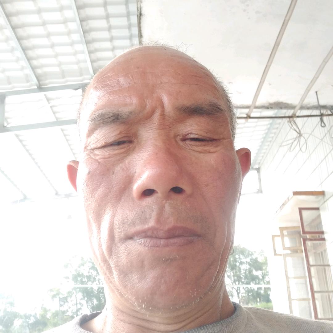 丙哥