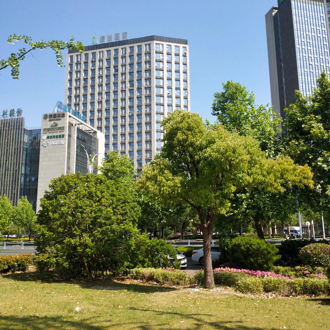 金新