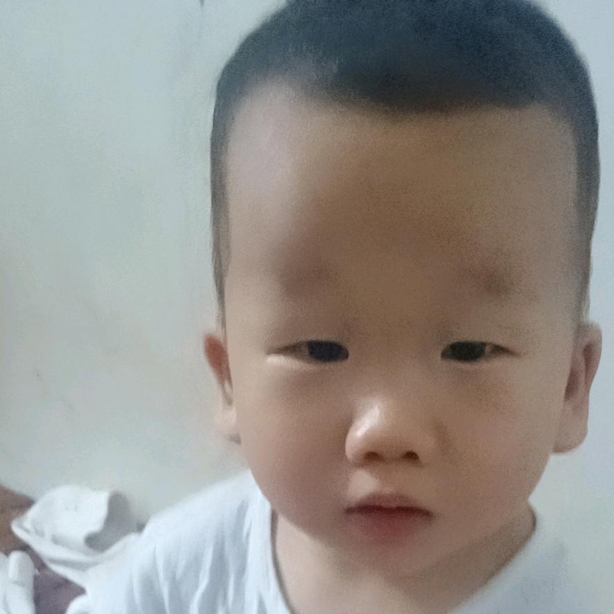 小可爱2019624