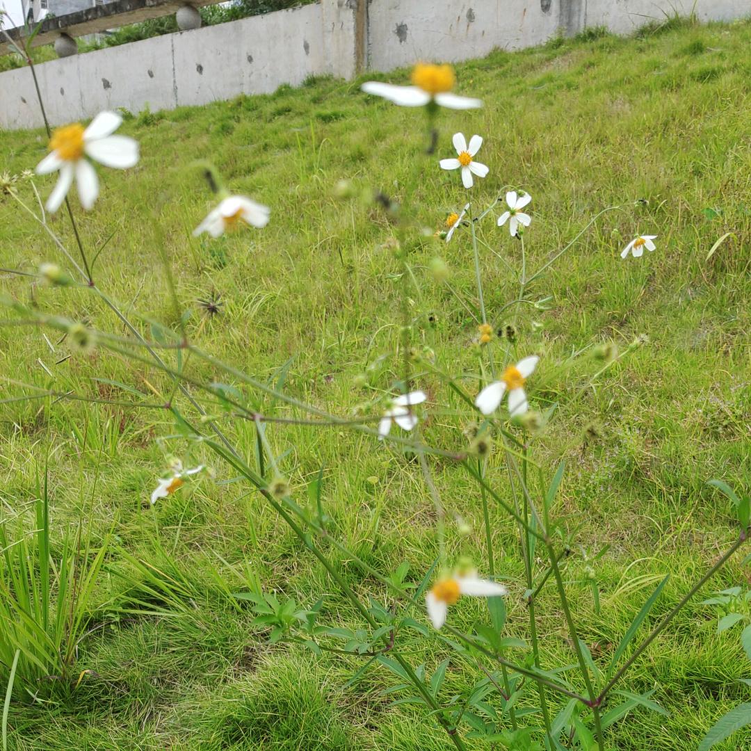 怡然自得
