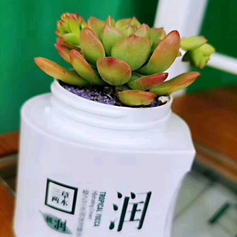 忘记
