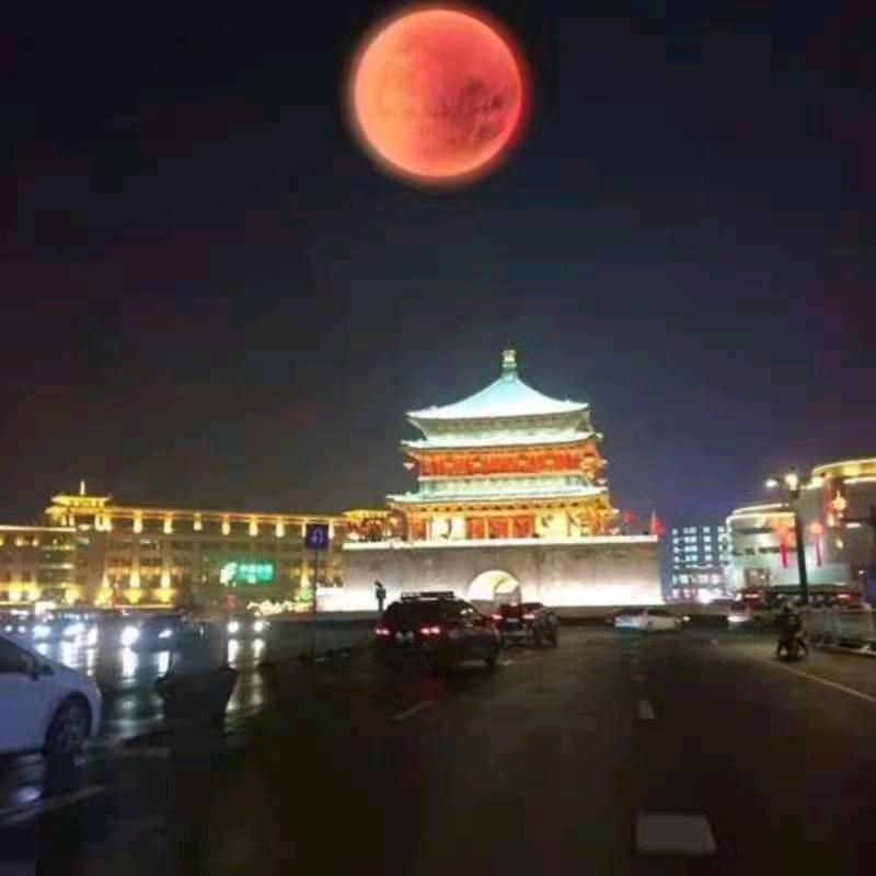 西北狼🐺