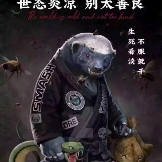 强强联手