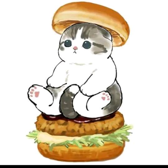 喵它饿了