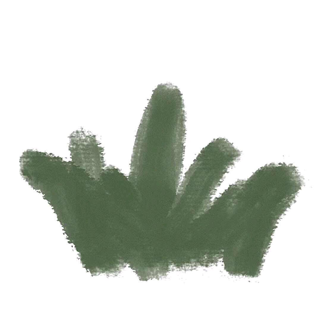 青椒