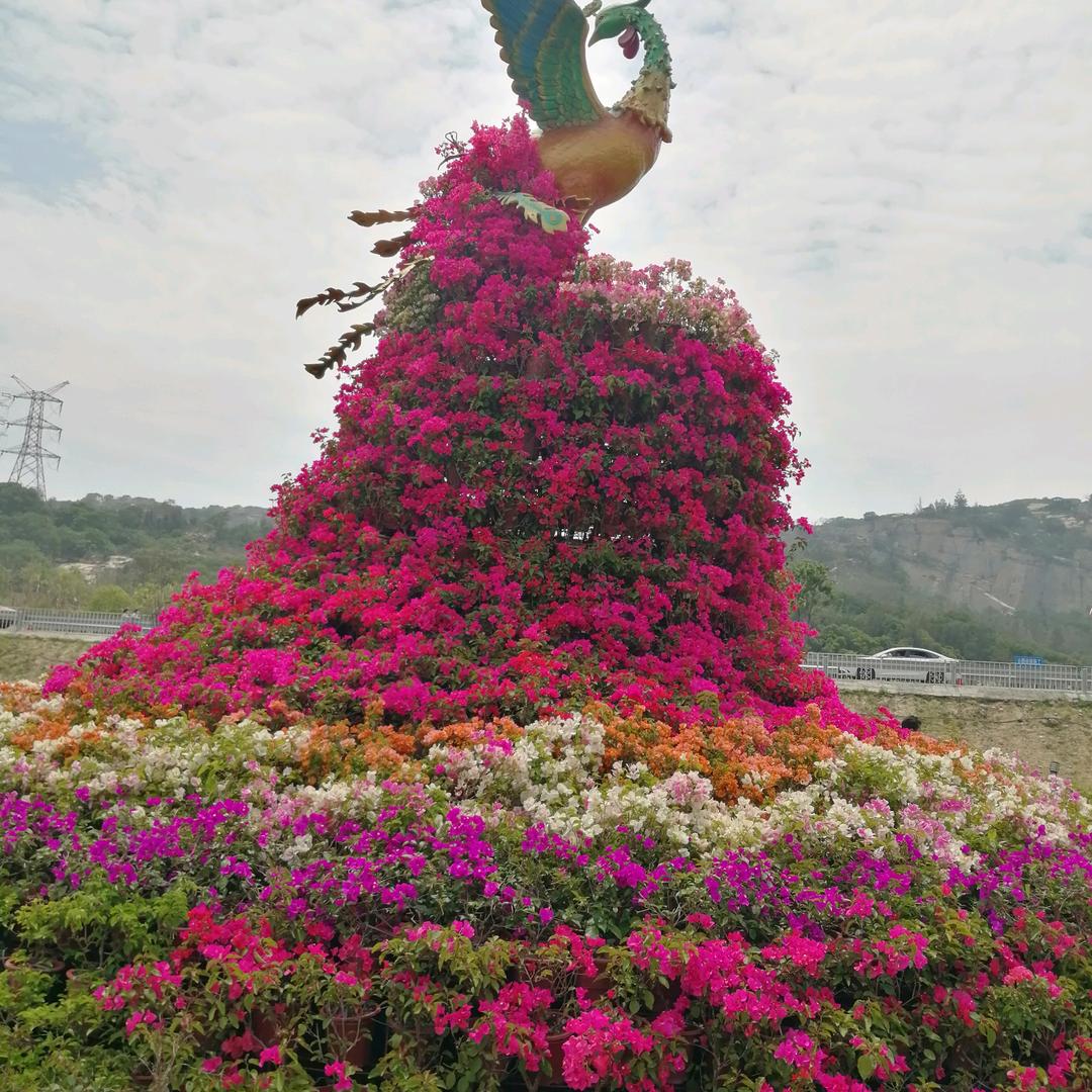 静