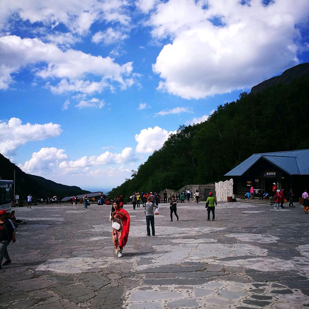 金正大保北总代理