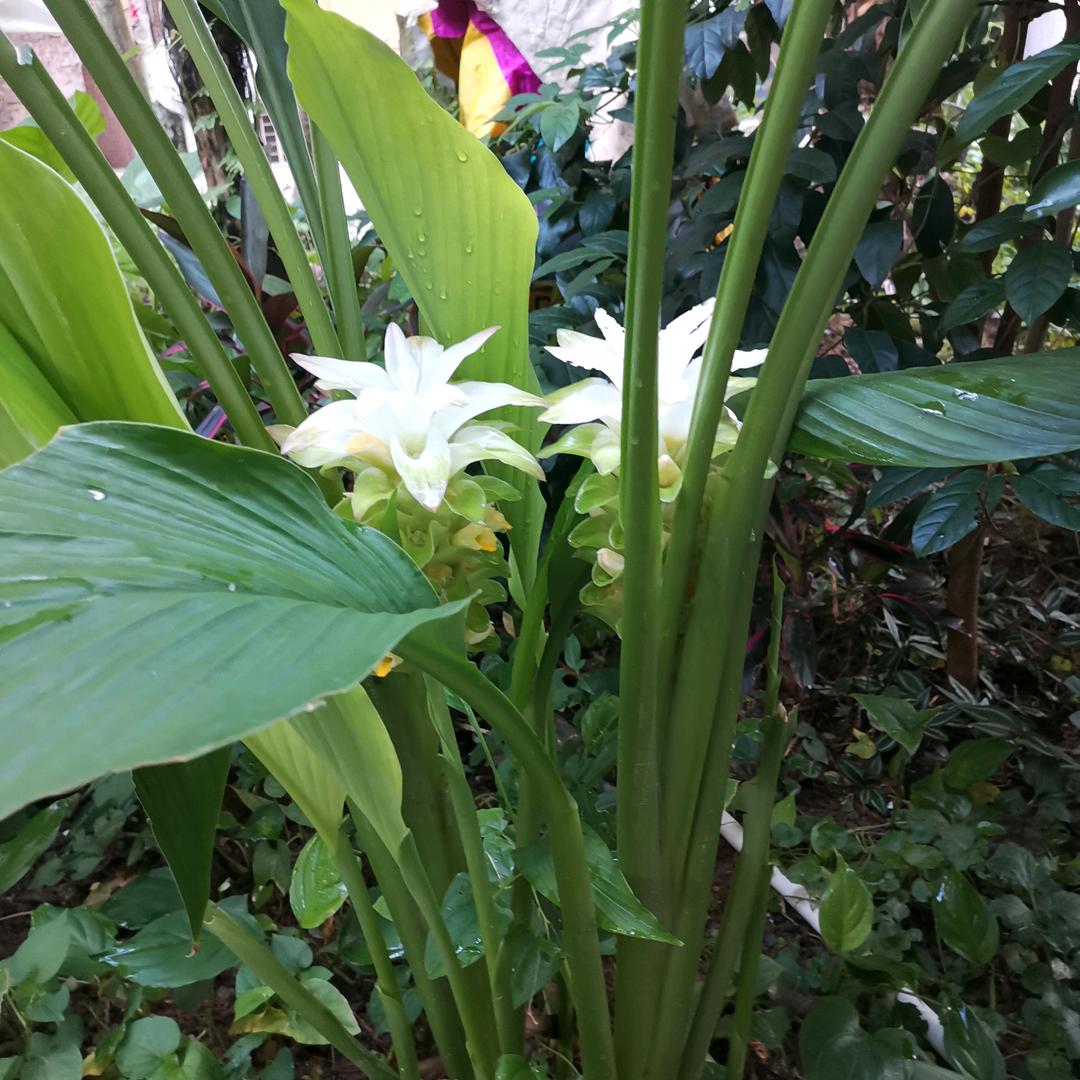 顺利人生