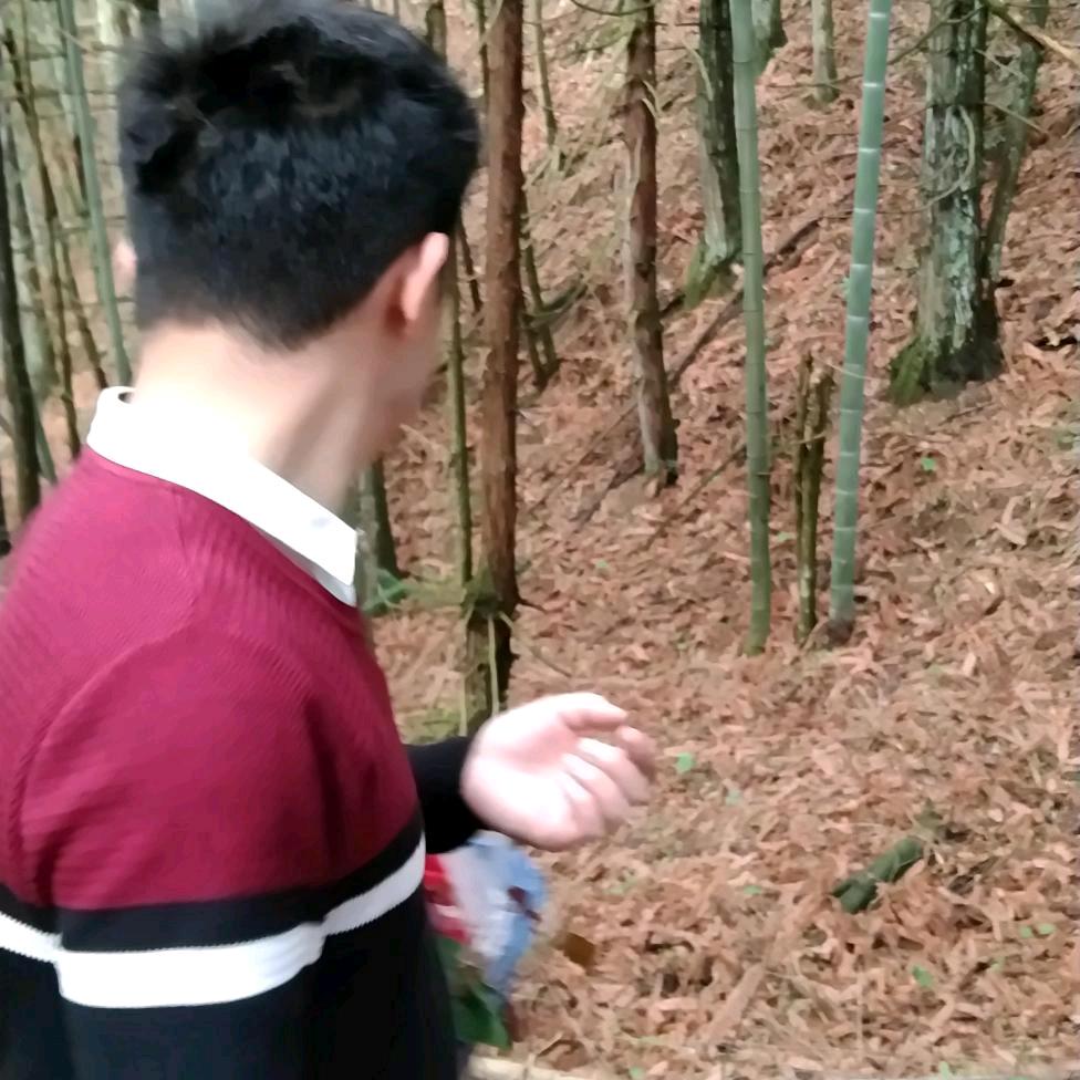 风砂