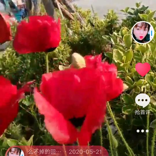 么不掉的回忆。