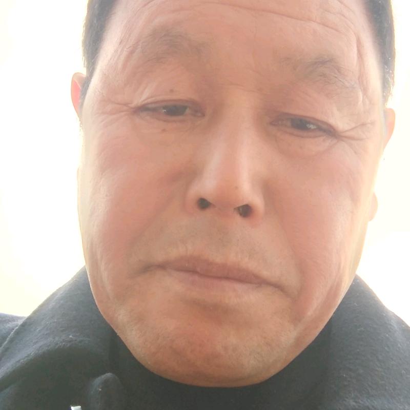 忠诚不愉