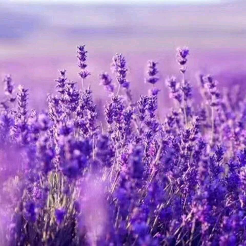 短视频店铺运营—王建美