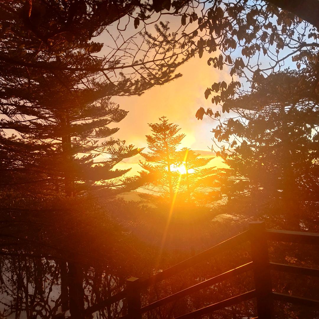 社会🤔😠你杨哥