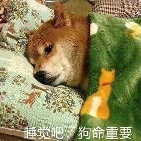 豌豆嘣