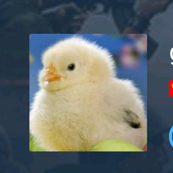 冰糖葫芦五加皮