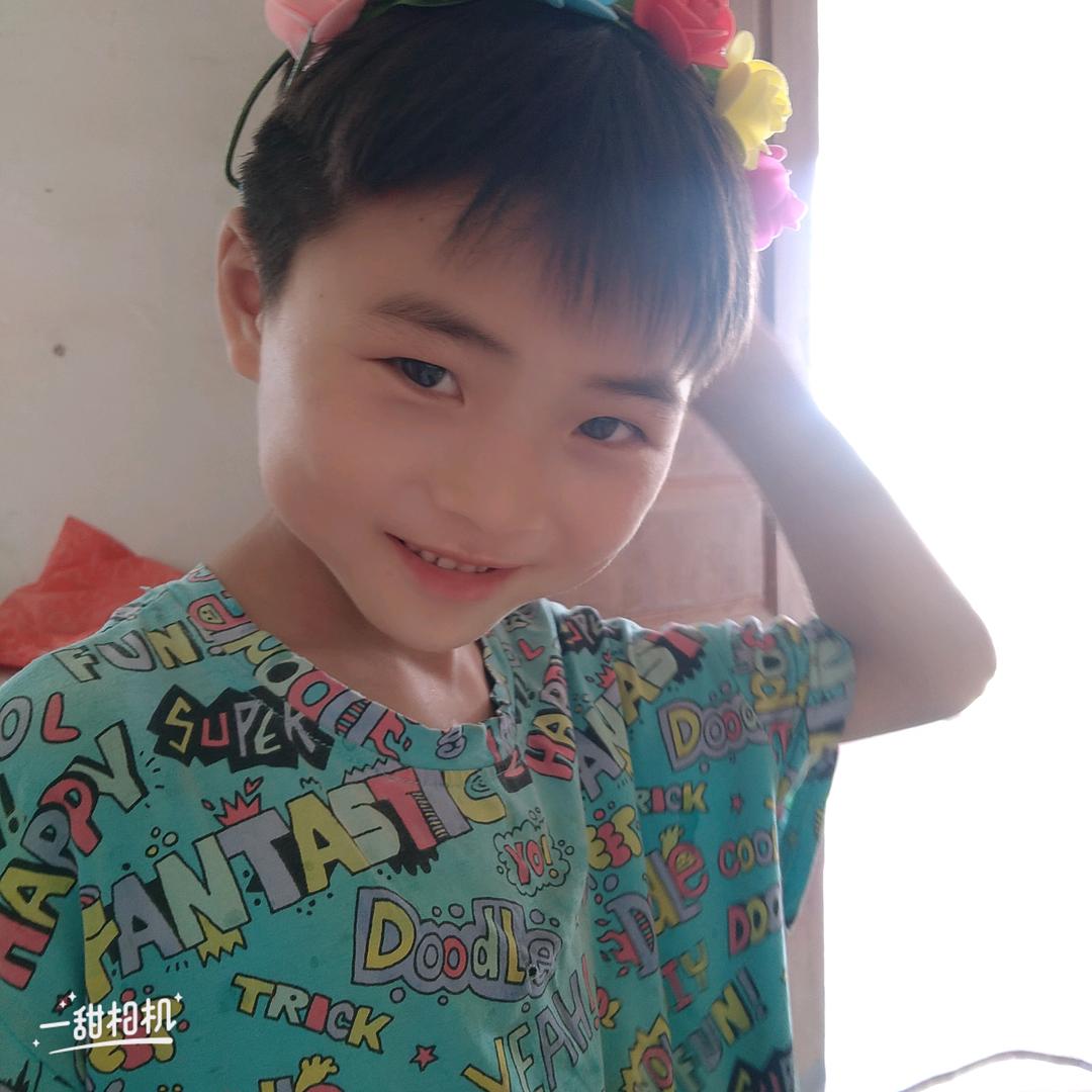 呆萌小🦌