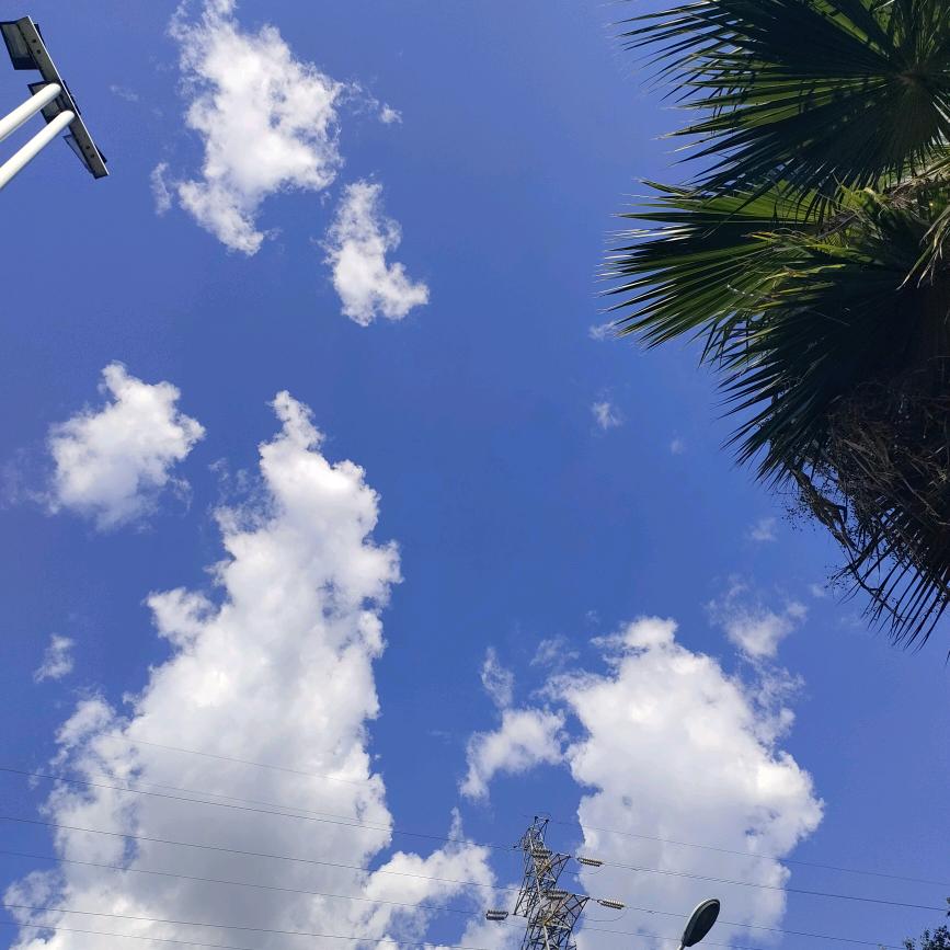 杨憨憨