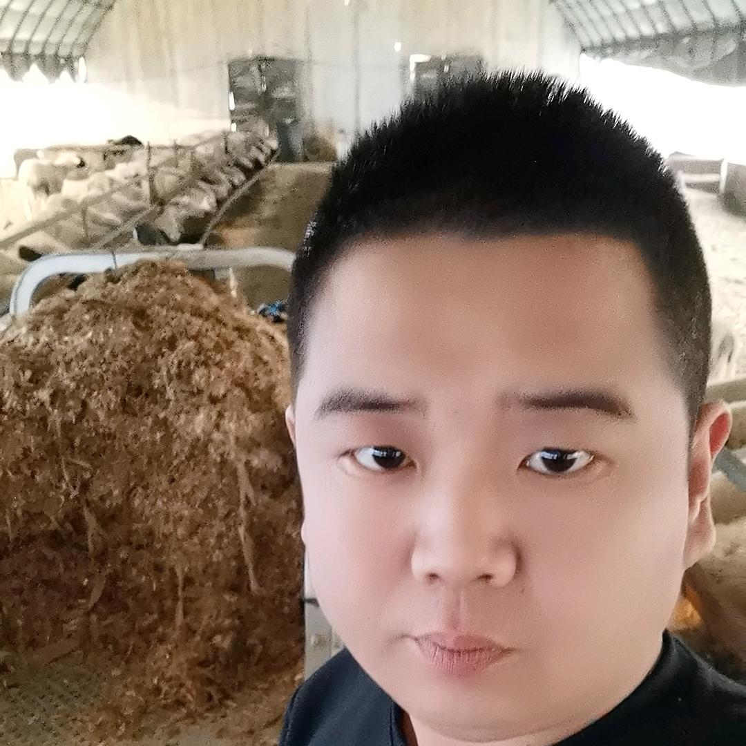 顺利同创小吕聊养殖