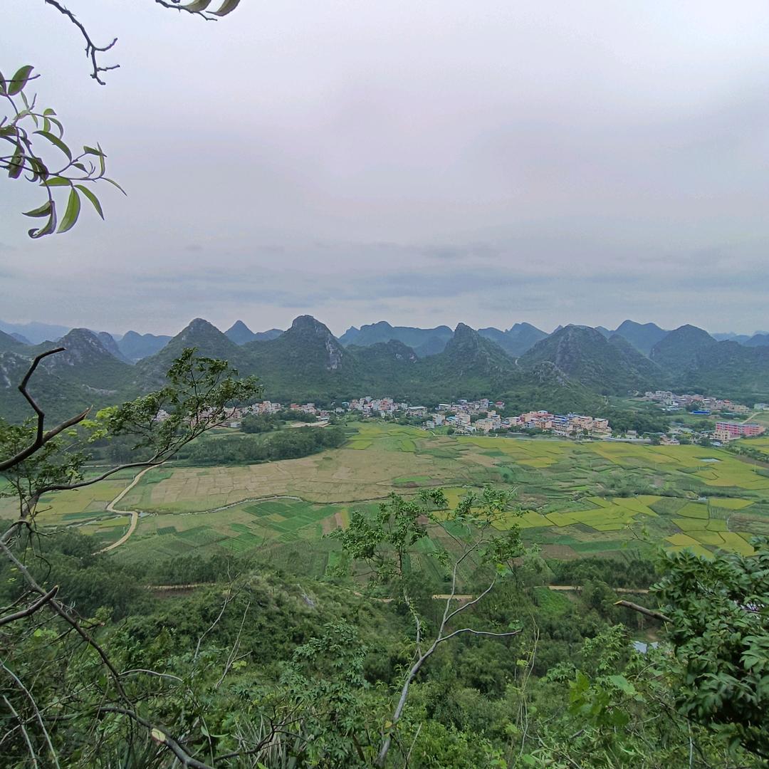 风过依然