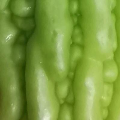 黢黑的苦瓜