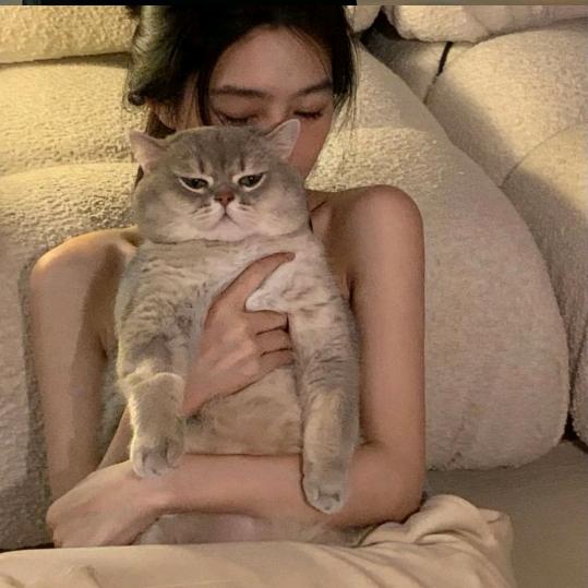 牙不齐
