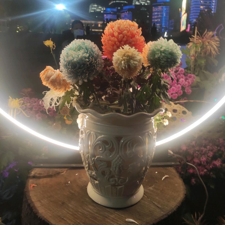 花儿与少年1