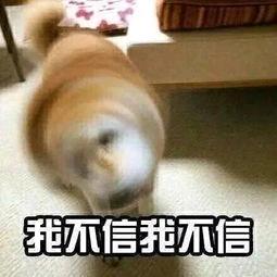 船长357