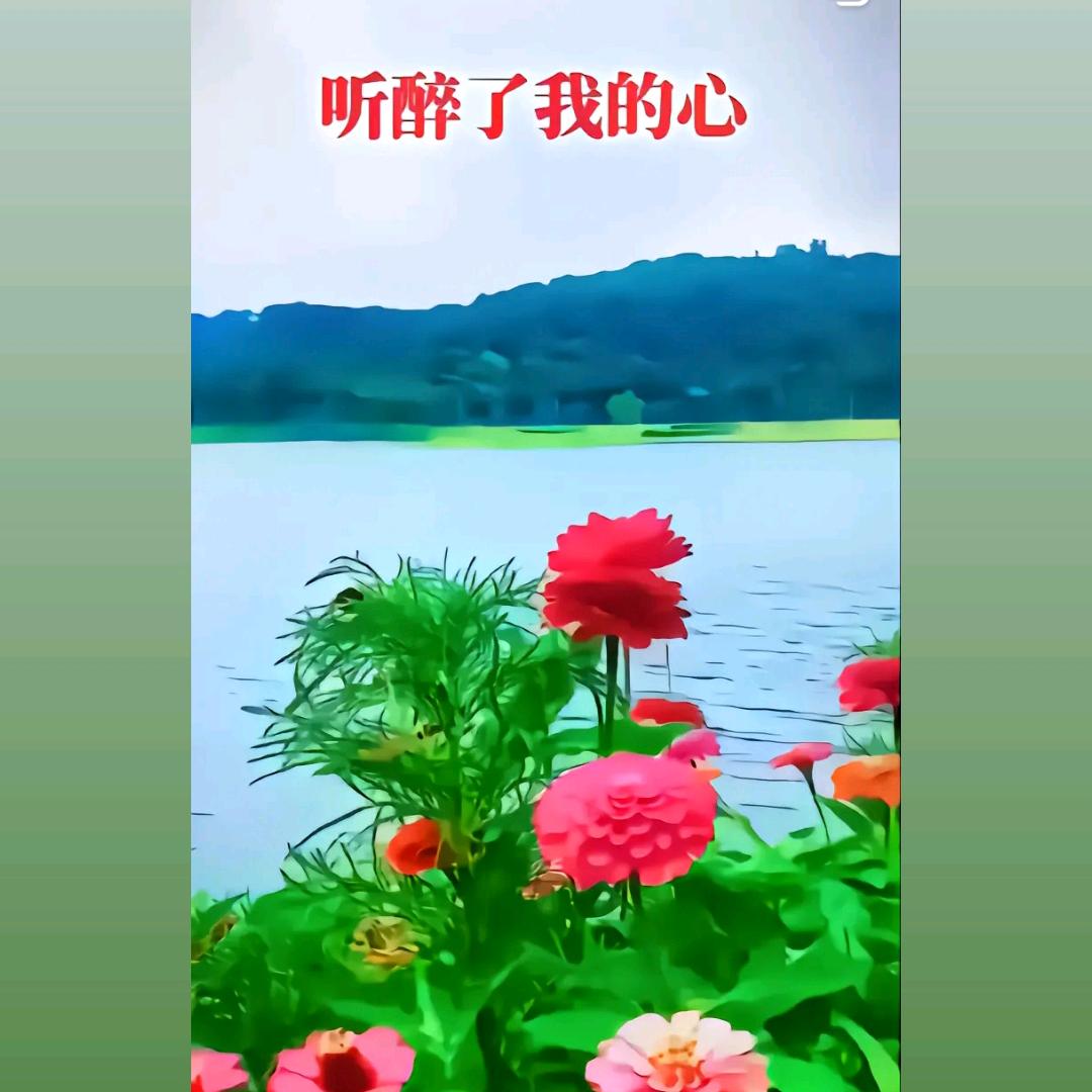 仙非仙