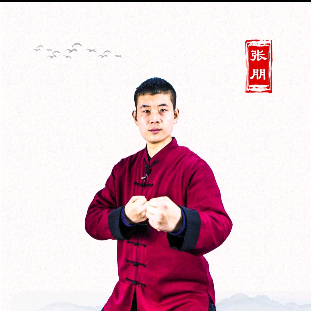 陈炳太极院张朋