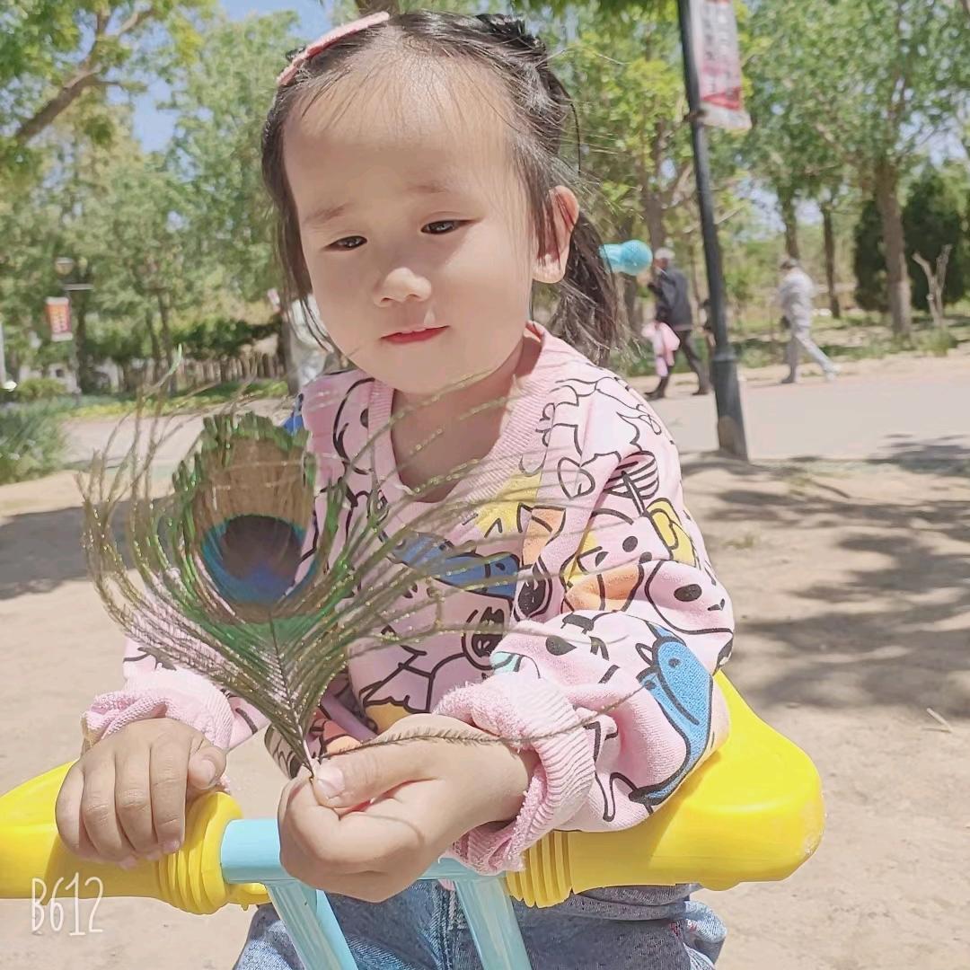 权   哥
