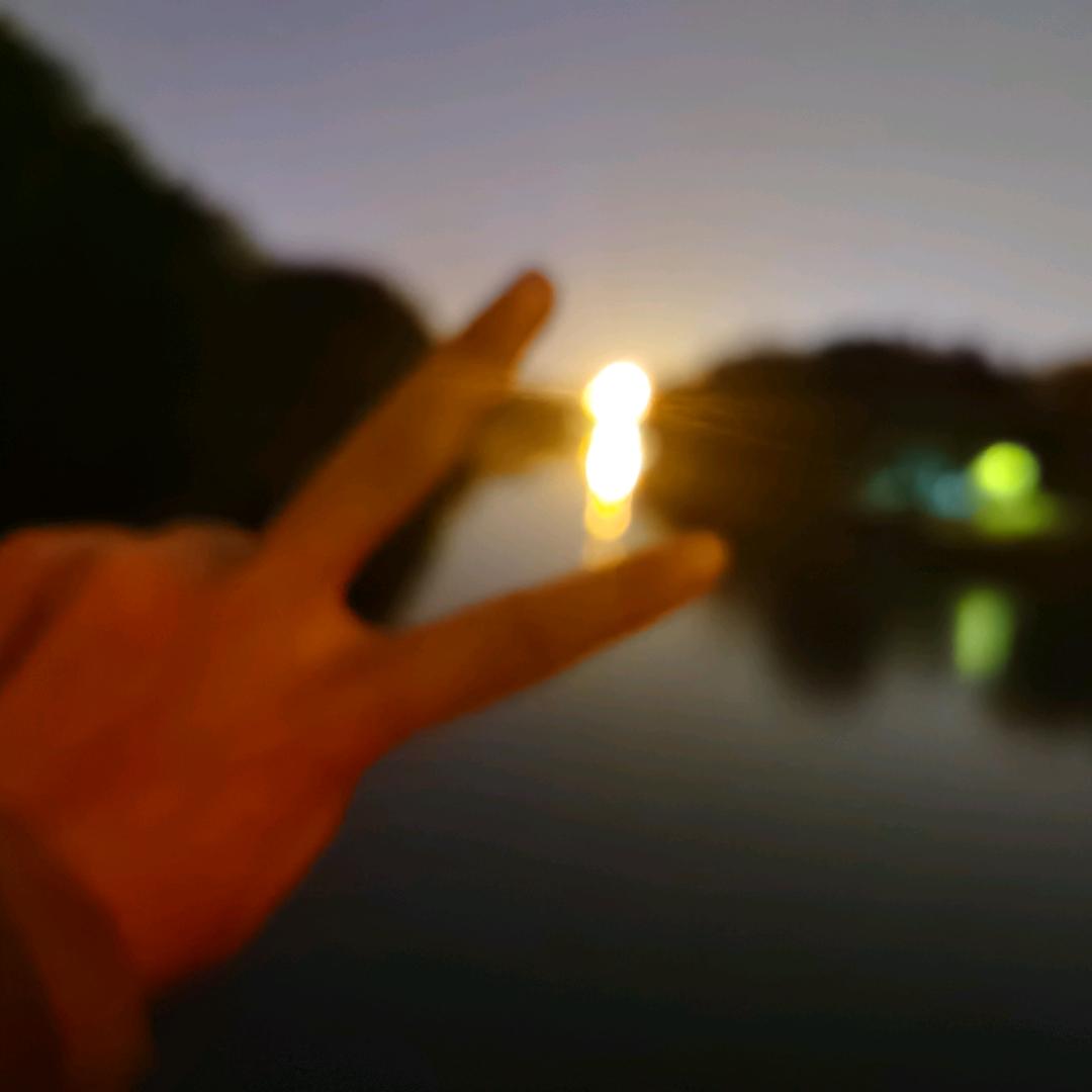 花舵主