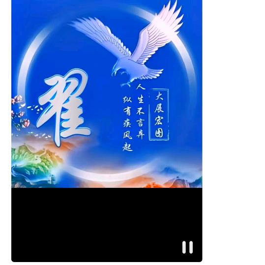 大漠孤雁