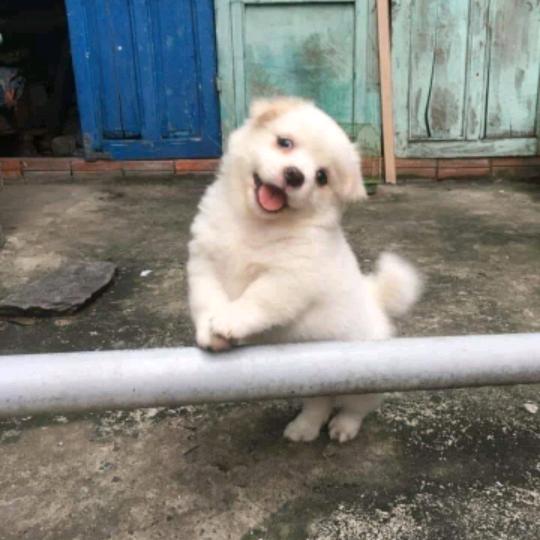 AaaYuan