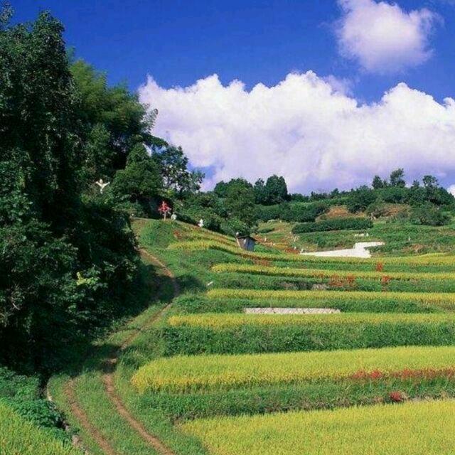 华华