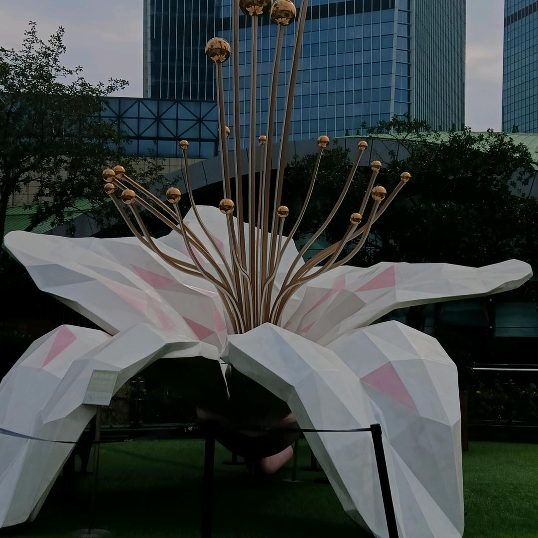 想念回家的感觉