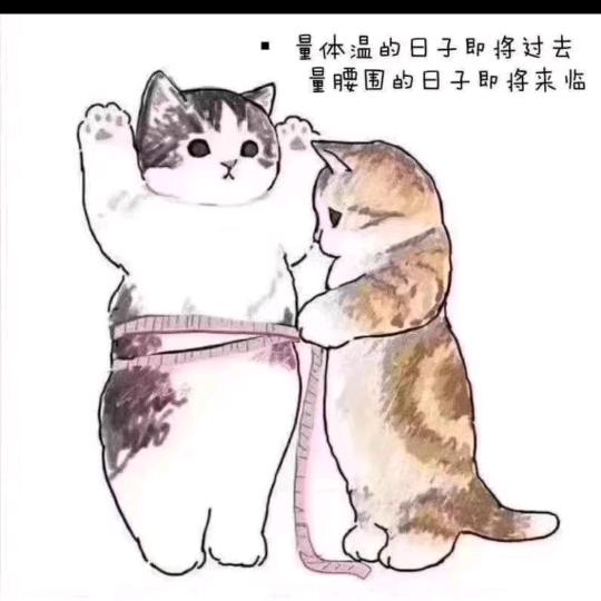 田田圈