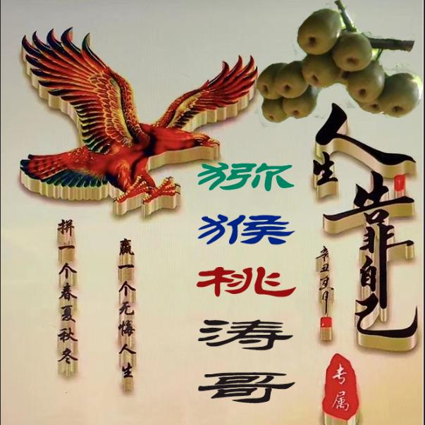 虞涛哥